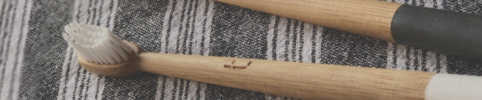 Truthbrush