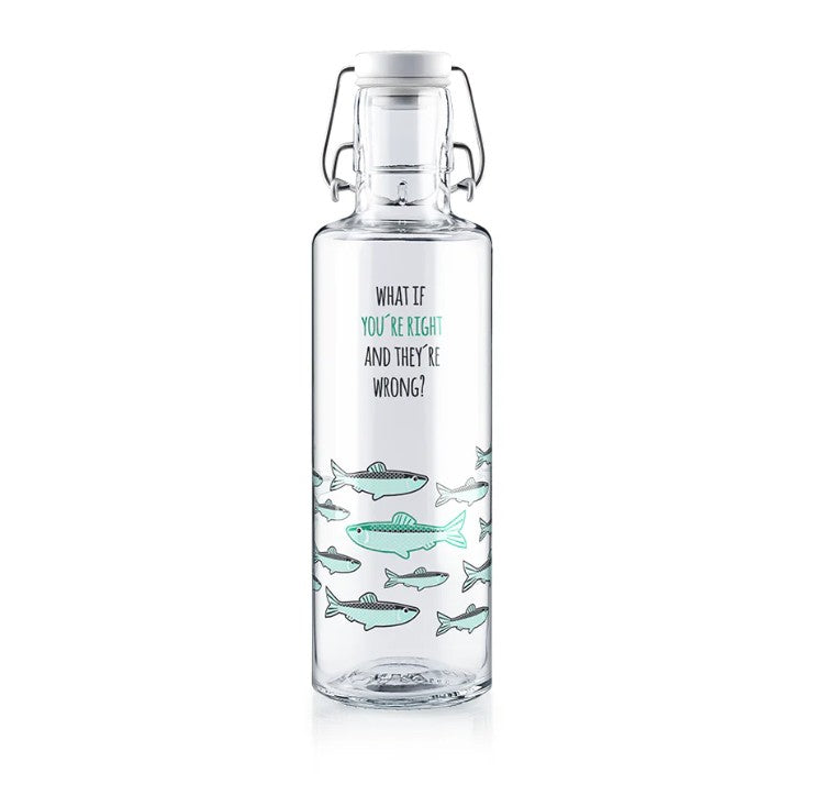 You're Right Glass Drinking Bottle - 20 oz.