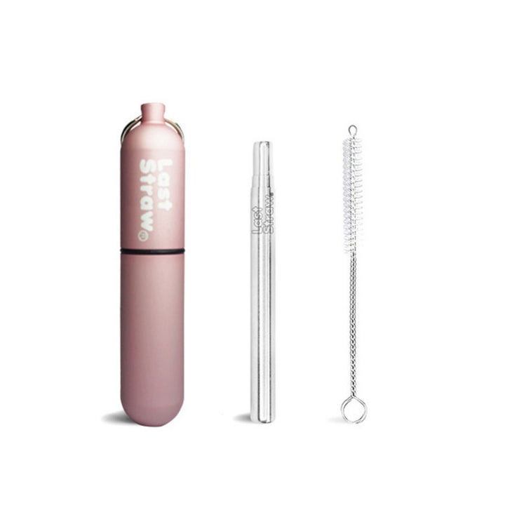 Stainless Steel Telescoping Straw with Keychain Case