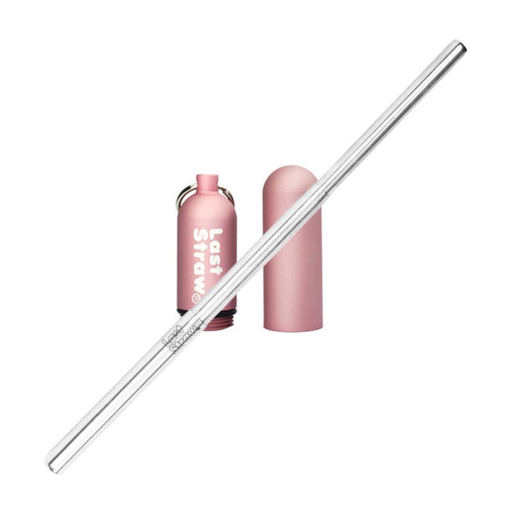 Stainless Steel Telescoping Straw with Keychain Case