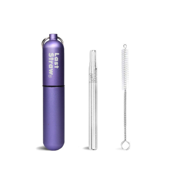 Stainless Steel Telescoping Straw with Keychain Case