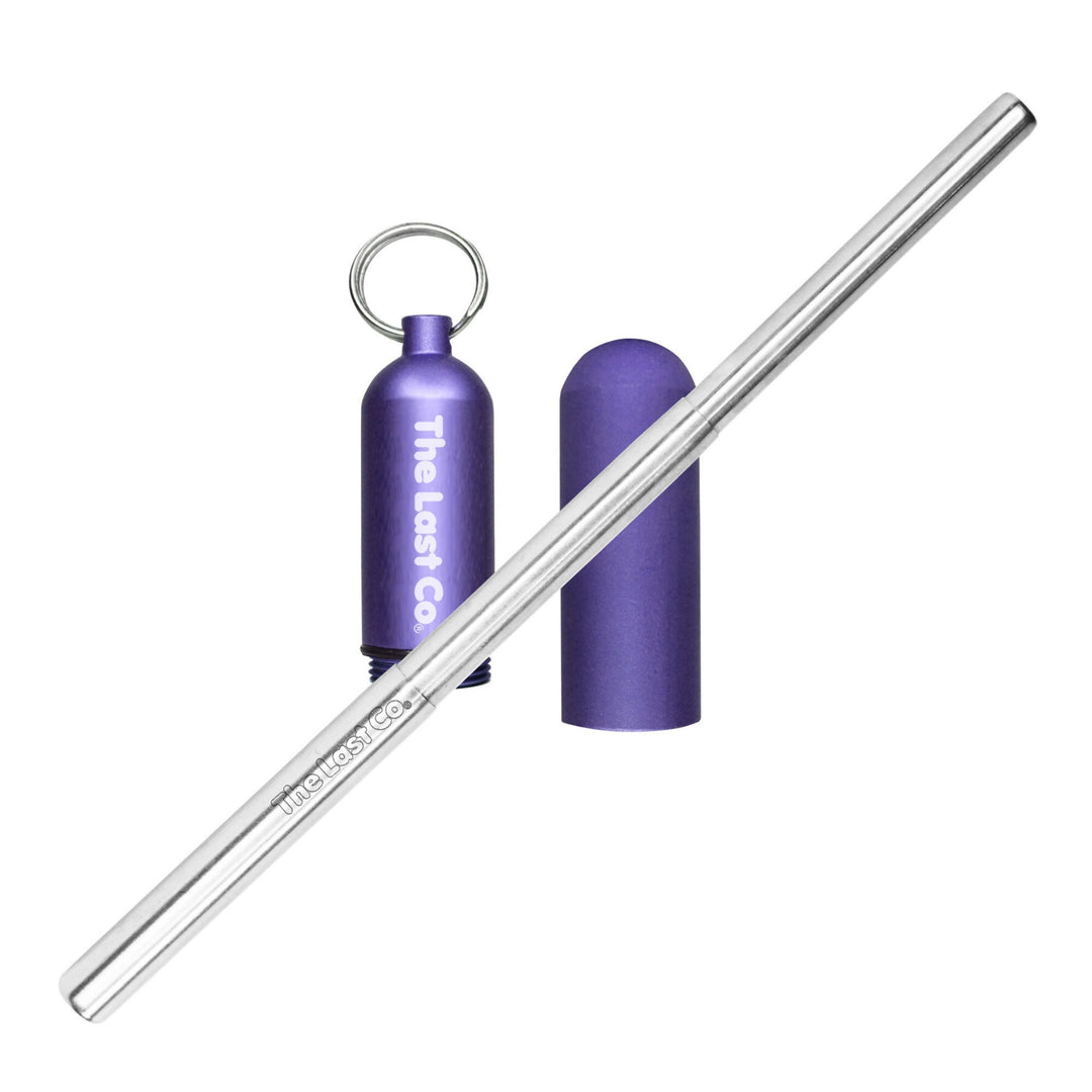 Stainless Steel Telescoping Straw with Keychain Case