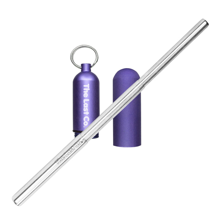 Stainless Steel Telescoping Straw with Keychain Case
