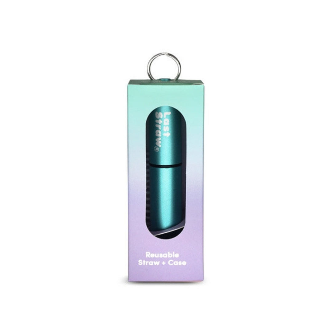 Stainless Steel Telescoping Straw with Keychain Case