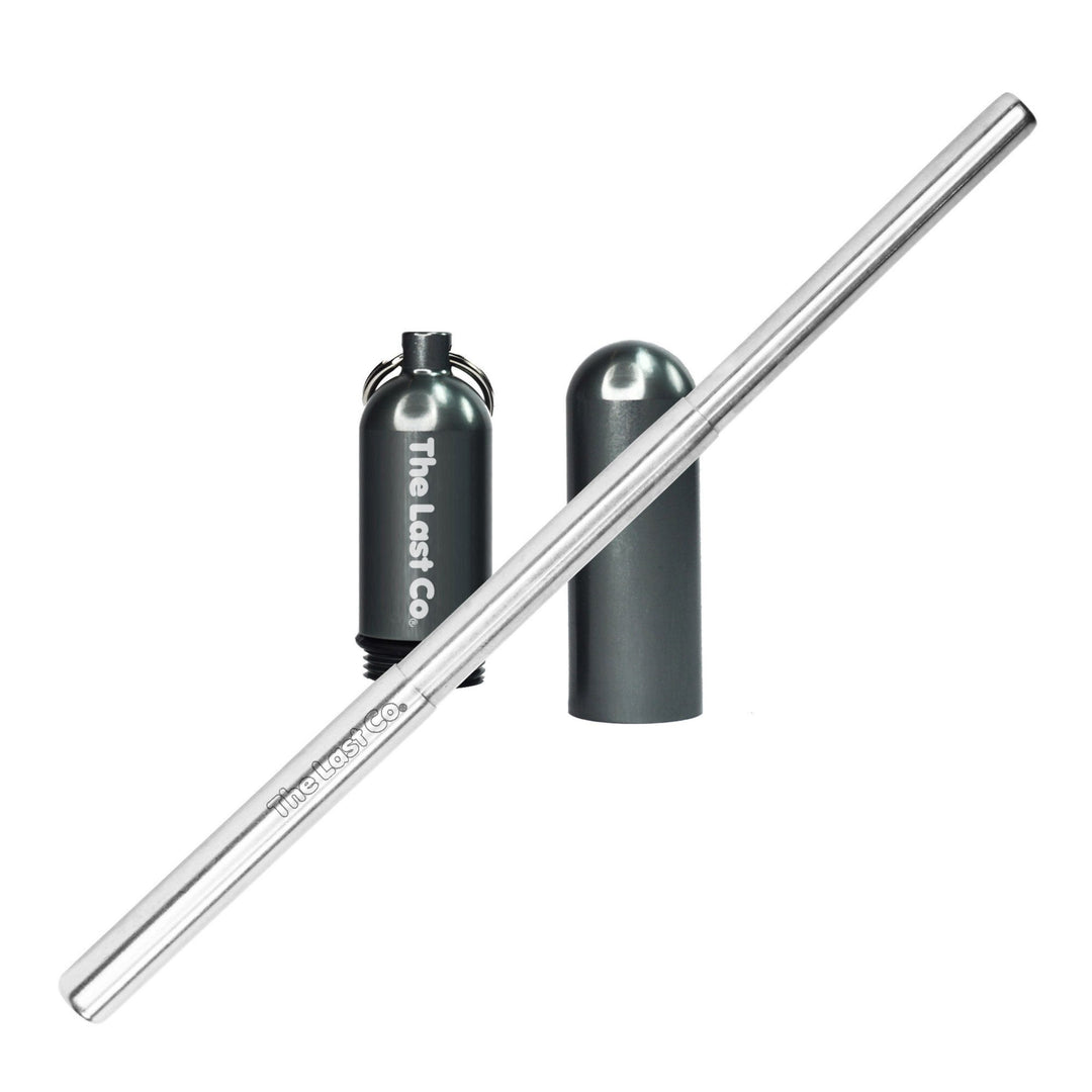 Stainless Steel Telescoping Straw with Keychain Case