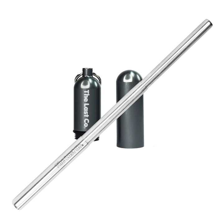 Stainless Steel Telescoping Straw with Keychain Case